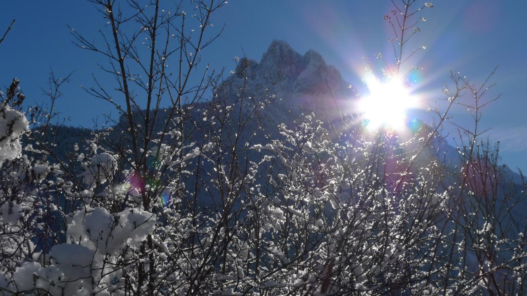 Villa Gemmy Pozza di Fassa Dış mekan fotoğraf