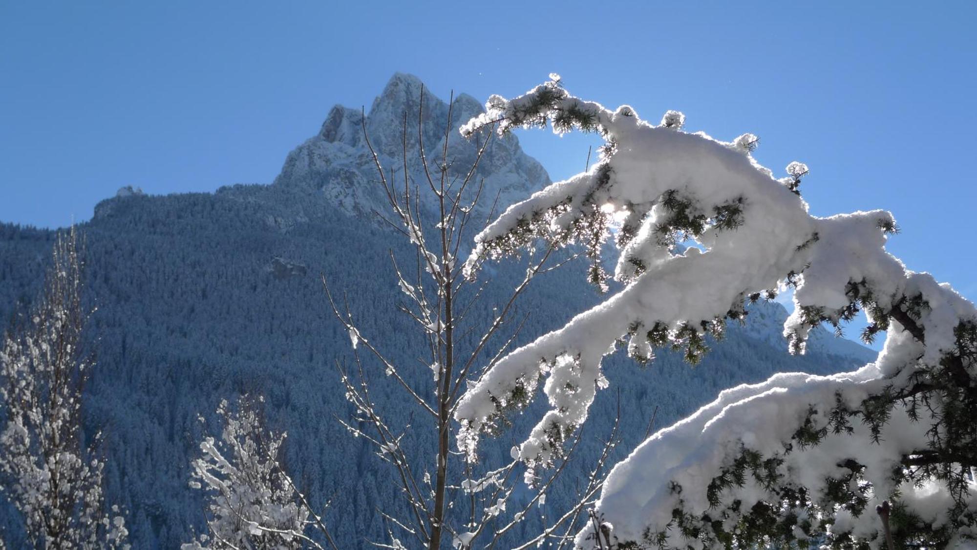 Villa Gemmy Pozza di Fassa Dış mekan fotoğraf